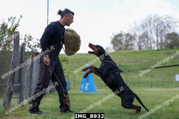 IMG_8932.jpg