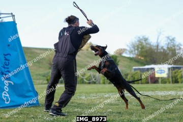 IMG_8973.jpg
