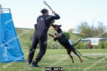IMG_8974.jpg