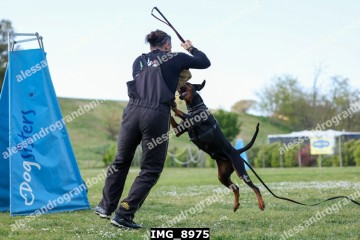 IMG_8975.jpg