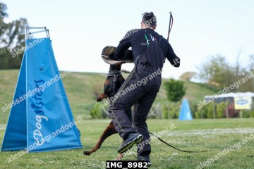 IMG_8982.jpg