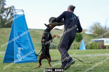 IMG_8985.jpg