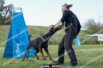 IMG_8990.jpg