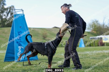 IMG_8993.jpg
