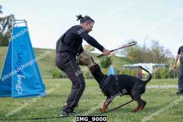 IMG_9000.jpg