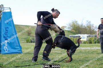 IMG_9005.jpg