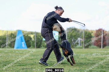 IMG_9016.jpg