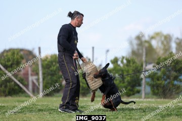 IMG_9037.jpg