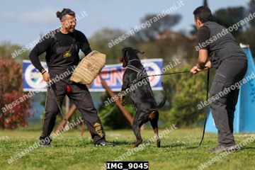 IMG_9045.jpg