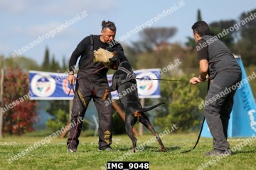 IMG_9048.jpg