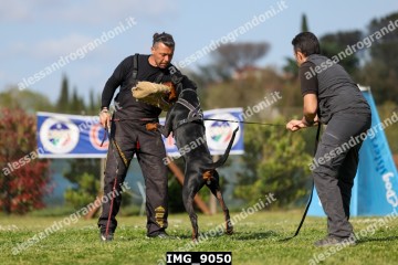 IMG_9050.jpg