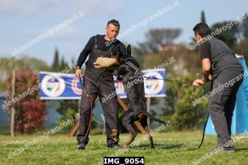 IMG_9054.jpg