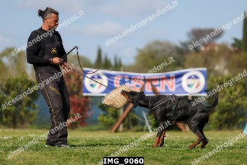 IMG_9060.jpg