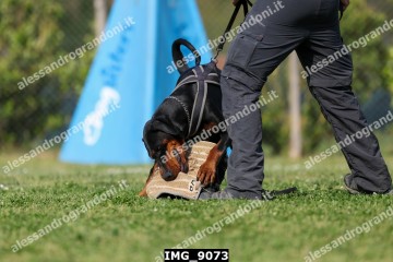 IMG_9073.jpg