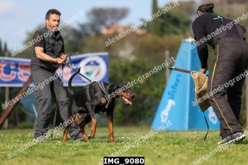IMG_9080.jpg