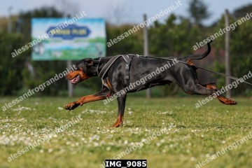 IMG_9085.jpg