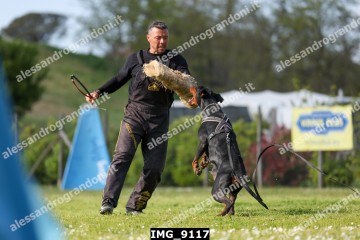 IMG_9117.jpg