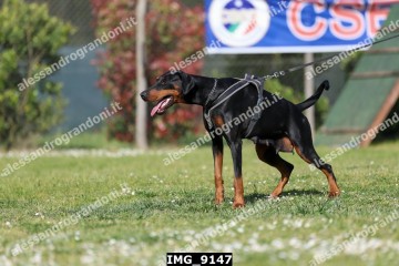 IMG_9147.jpg