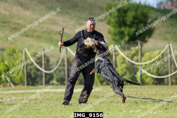 IMG_9156.jpg