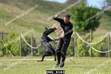 IMG_9163.jpg