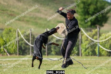 IMG_9166.jpg