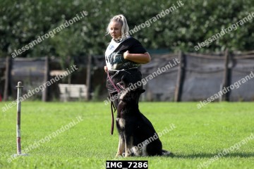IMG_7286.jpg