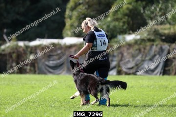 IMG_7296.jpg
