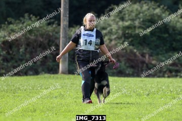 IMG_7313.jpg