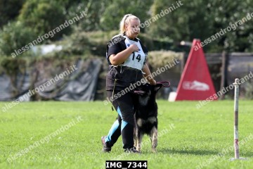 IMG_7344.jpg