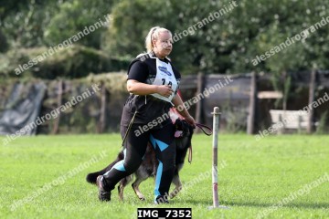 IMG_7352.jpg