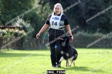 IMG_7356.jpg