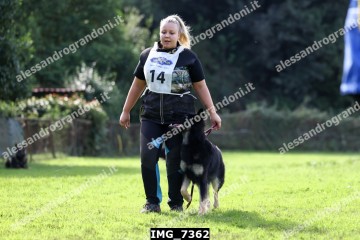 IMG_7362.jpg