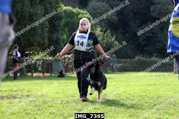 IMG_7365.jpg