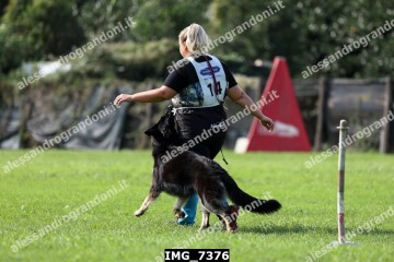 IMG_7376.jpg