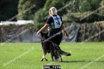 IMG_7379.jpg