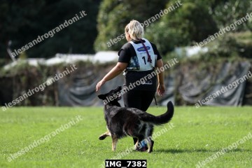 IMG_7382.jpg