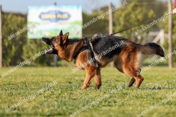 IMG_2065.jpg