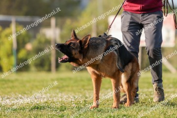 IMG_2148.jpg