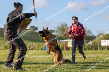 IMG_2166.jpg