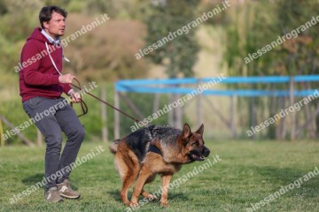 IMG_2193.jpg
