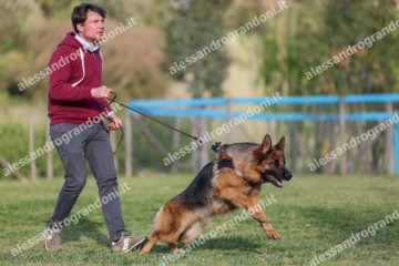 IMG_2200.jpg