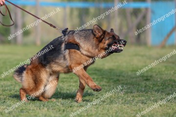 IMG_2208.jpg