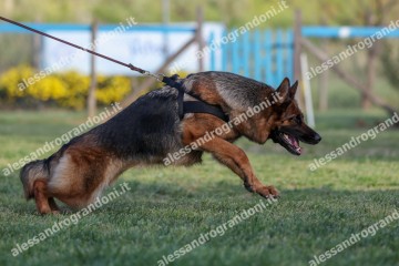 IMG_2270.jpg