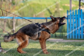 IMG_2292.jpg