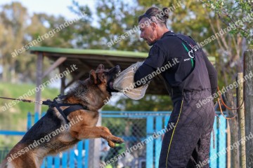 IMG_2519.jpg