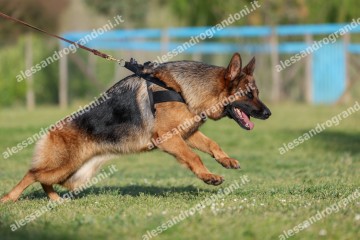 IMG_2580.jpg