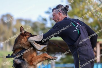IMG_2679.jpg
