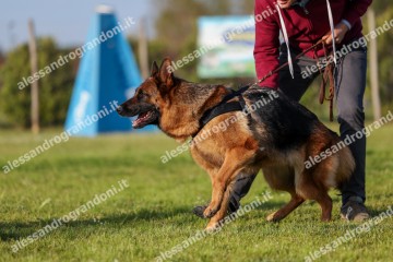 IMG_2807.jpg