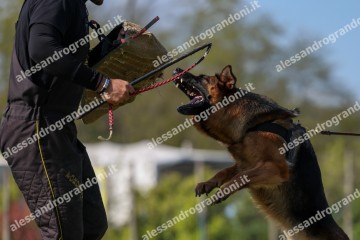 IMG_8251.jpg