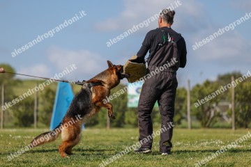 IMG_8295.jpg